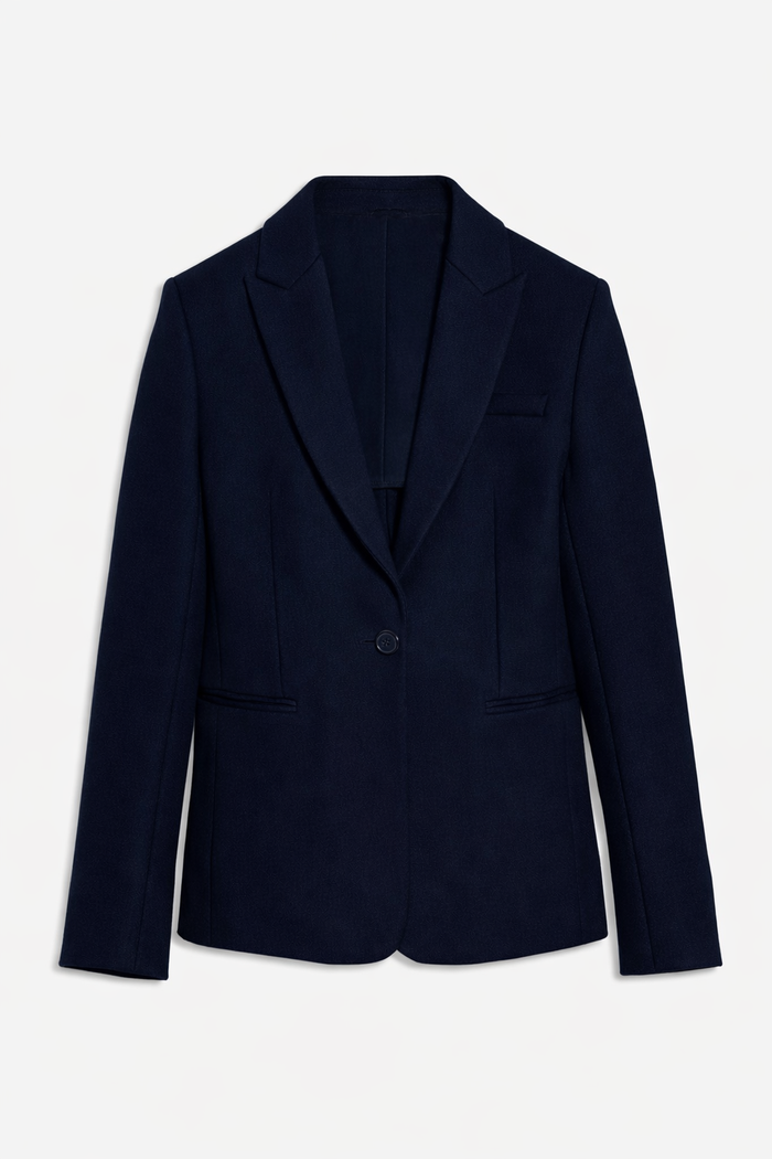 THE BLAZER